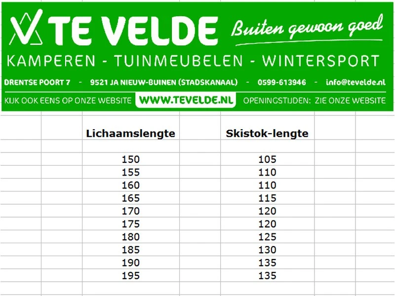 Salomon Ski Stok X North Silver Black 4 Salomon Ski Stok X North Silver Black - Afbeelding 2