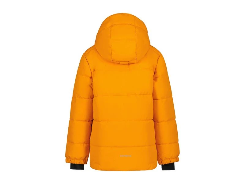 Icepeak Ski Jas Jongens Louin 4 Icepeak Ski Jas Jongens Louin - Afbeelding 2