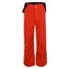 Dare2be Ski Broek Kinderen Take On -Skiuitrusting dare2be jongens ski broek dkw301 657