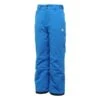 Dare2be Ski Broek Jongens Step It Up -Skiuitrusting dare2be jongens skibroek step it up